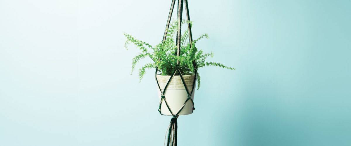 La jardinière en macramé