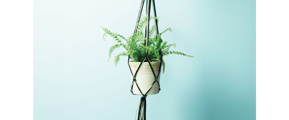 La jardinière en macramé