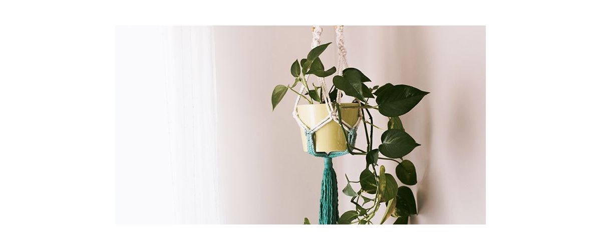 DIY: Techniques to Successfully Dye Your Macramé Project